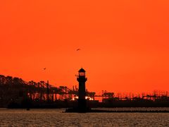 -上海吴淞炮台湾国家湿地公园