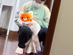 -小蝌蚪·寻·月嫂(普陀总部)