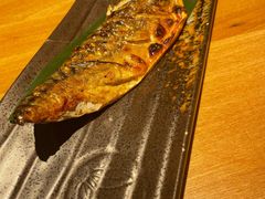 盐烤青花鱼-初居食屋日式料理(万象城购物中心店)