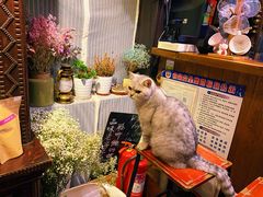 -不舍昼夜咖啡馆