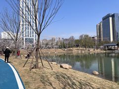 -后襄河公园