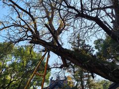 -无锡惠山寺