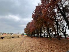 -太阳岛旅游度假区