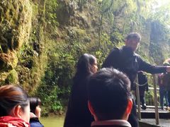 -怀托摩萤火虫洞