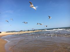 -老虎石海上公园