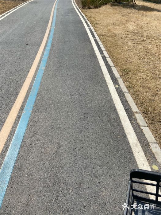 坝河休闲公园图片
