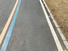 -坝河休闲公园