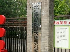 -大望京公园