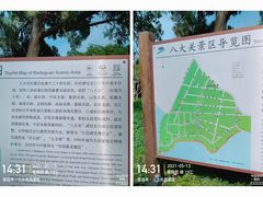 -八大关景区