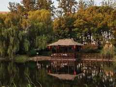 -澹台湖公园