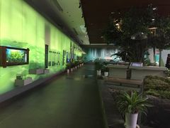 景点-中国湿地博物馆