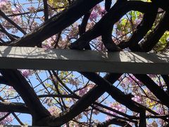 -郑和公园