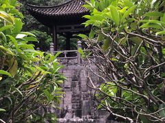 -深圳国际园林花卉博览园