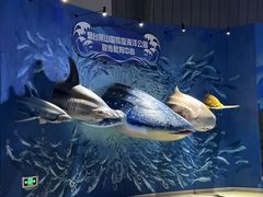 -烟台海昌鲸鲨海洋公园
