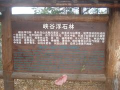 门面-峡谷浮石林景区