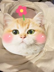 -香榭丽舍·海菲秀·皮肤管理痘敏肌修护