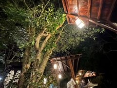 -明月山天沐温泉度假村