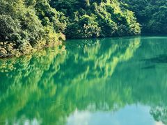-佛山市三水区大南山森林公园