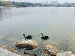 -长春世界雕塑园冰雪艺术天地