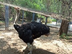 -长白岛森林公园