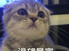 -武汉光谷K11