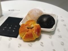 南瓜蓓蕾-法莱索尔(奥莱店)
