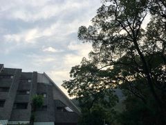 -杭州花家山庄