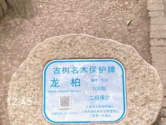 -莘庄公园