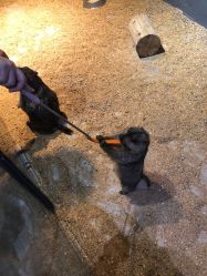 -酷嗒动物文化乐园(cutezoo西溪乐天城店)