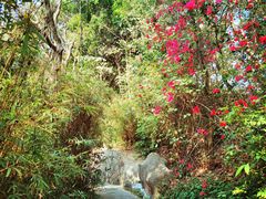 -深圳国际园林花卉博览园