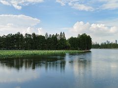 -东湖听涛景区