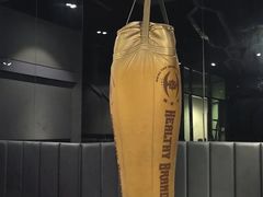 -阳光游泳培训(北苑店)