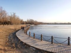 -野鸭湖国家湿地公园