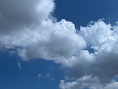 -五谷芳乳鸽王(海景店)