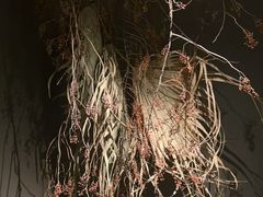 -安屿an·spa(卓悦中心商场店)