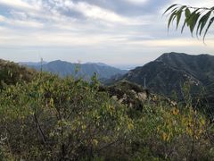 -大岭沟猕猴桃谷风景区