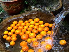 -土连锅·现熬养生汤锅(梁家巷店)