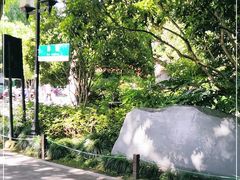 -苏堤停车场