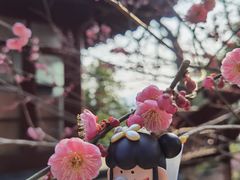 -西泠印社