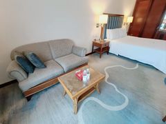 -惠州康帝国际酒店