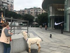 -凯德广场(金牛店)