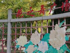 -芍药居北里