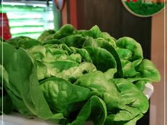 -番食园鲜食火锅(高新店)
