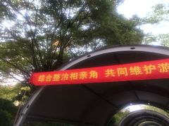 -人民公园-相亲角