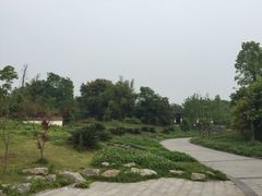 -邓小平故里