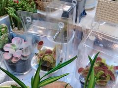 -双季花艺园艺市场(浦东店)