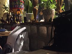 -花腰餐吧Bistro烧烤 傣味(传媒大学店)