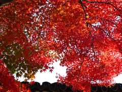 -重元寺香积厨素斋馆