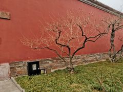 -北京市劳动人民文化宫(太庙)