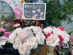 -盒马鲜生(昆城店)